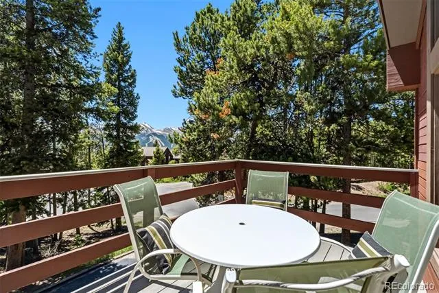 1233 Baldy Road Breckenridge, CO 80424