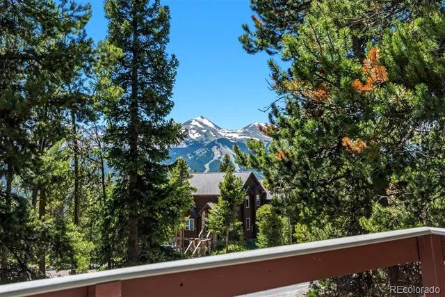 1233 Baldy Road Breckenridge, CO 80424