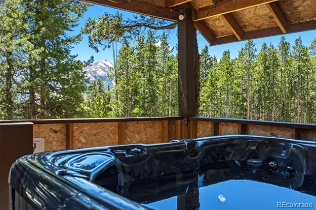 1233 Baldy Road Breckenridge, CO 80424