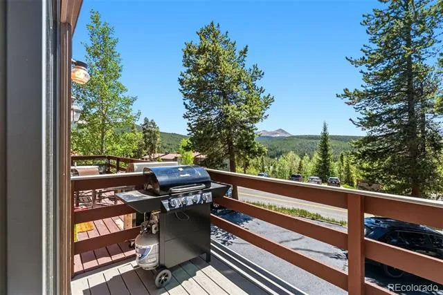 1233 Baldy Road Breckenridge, CO 80424