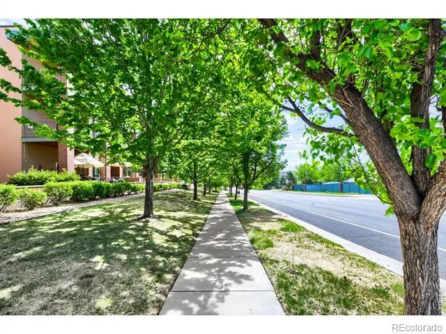 1053 W Century Drive #203 Louisville, CO 80027