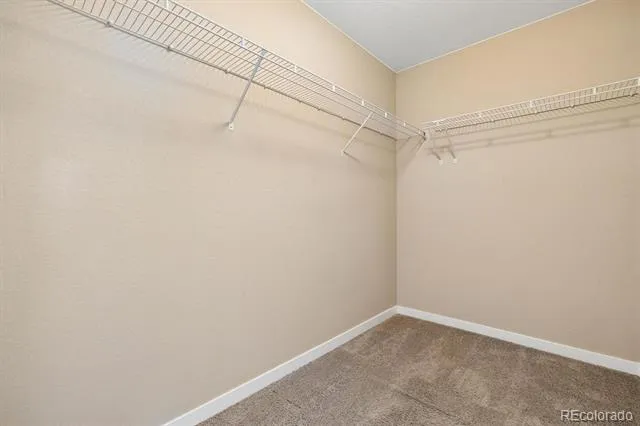 10055 Hough Point Parker, CO 80134