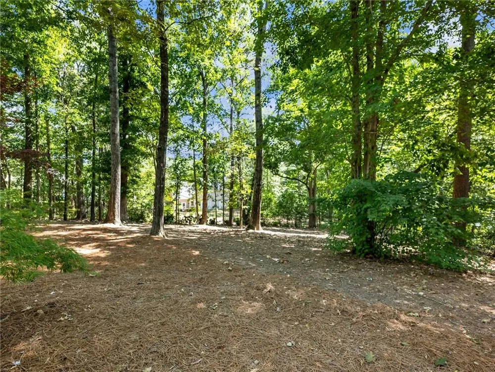 3965 Hamilton View Way Dacula, GA 30019