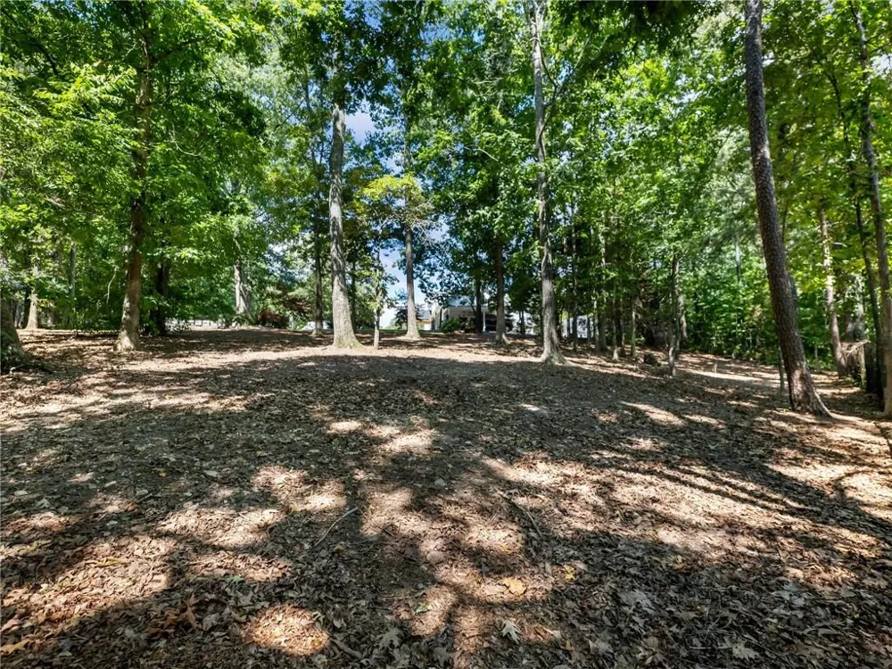 3965 Hamilton View Way Dacula, GA 30019