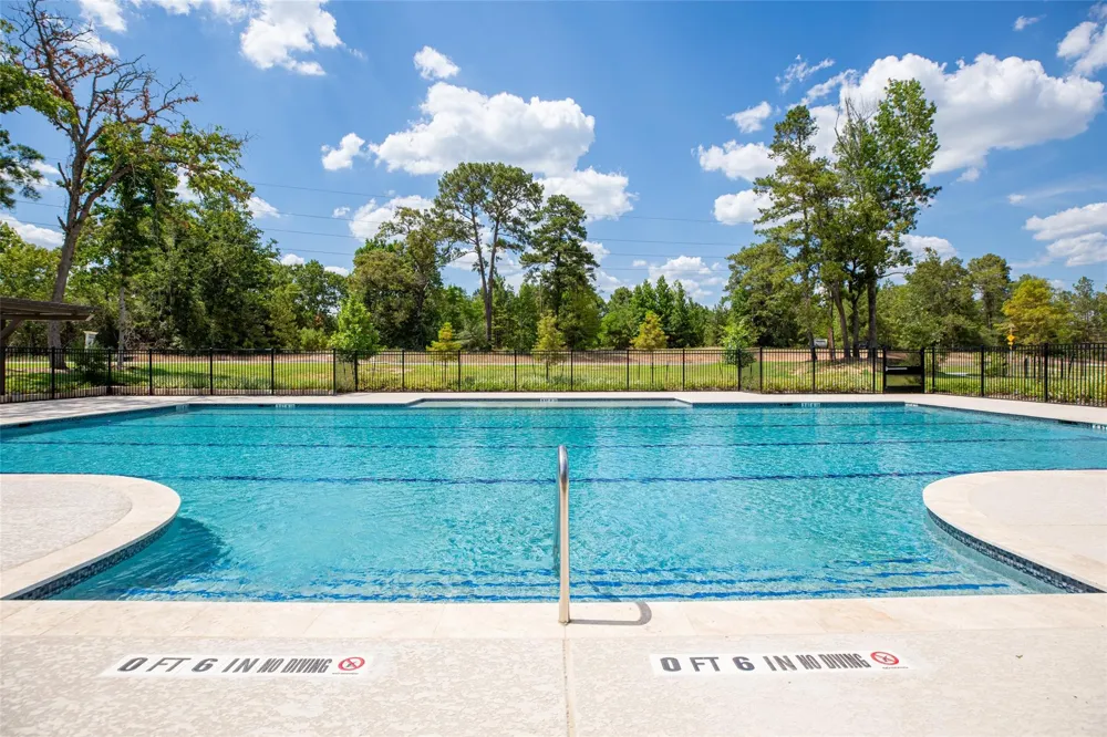 2308 Pipefish Drive Conroe, TX 77384