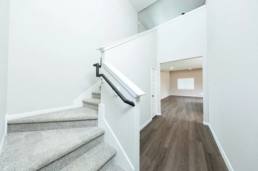 2308 Pipefish Drive Conroe, TX 77384