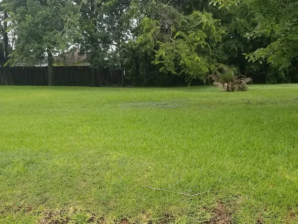 Nichols Houston, TX 77020