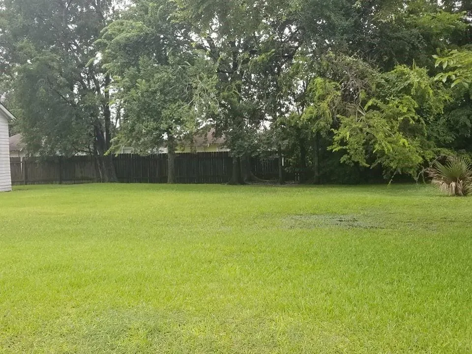 Nichols Houston, TX 77020
