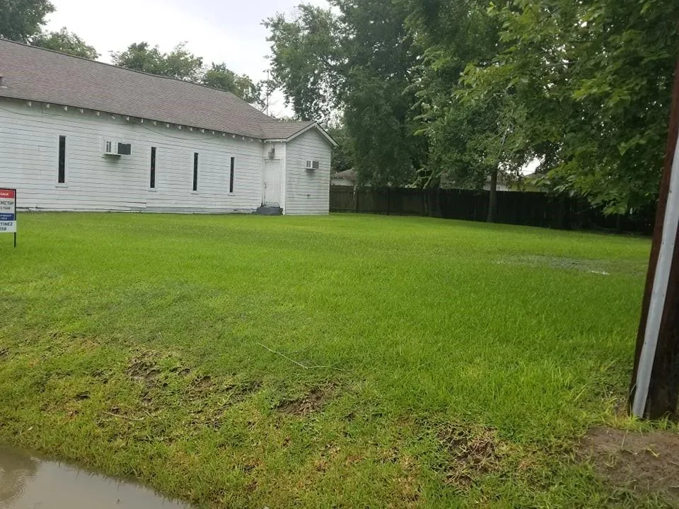 Nichols Houston, TX 77020