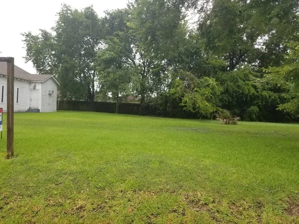 Nichols Houston, TX 77020