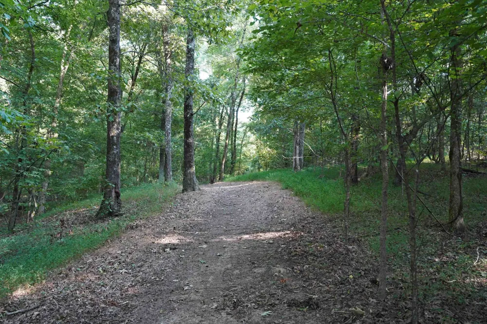 2620 DONELSON DR Eads, TN 38028