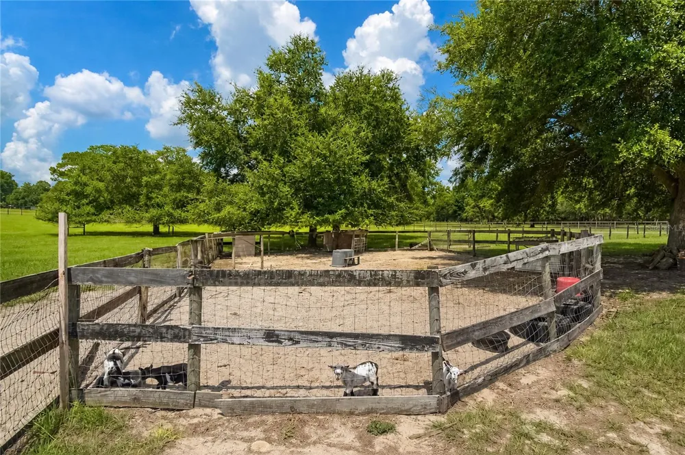 10525 SW 129TH TERRACE ROAD Dunnellon, FL 34432