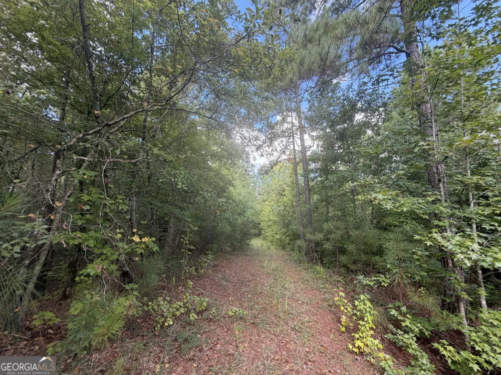 490 Sparta HWY Milledgeville, GA 31061