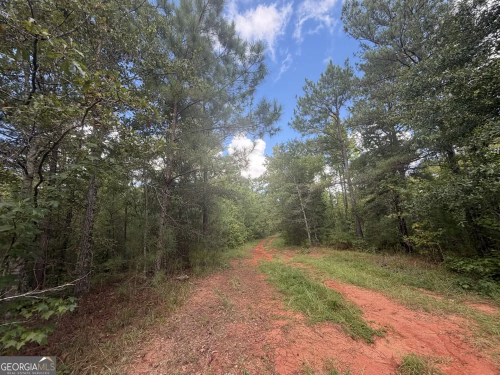 490 Sparta HWY Milledgeville, GA 31061