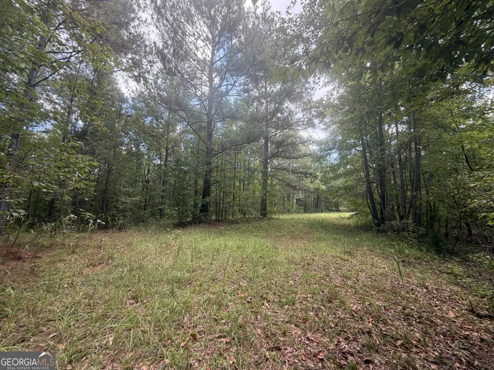 490 Sparta HWY Milledgeville, GA 31061