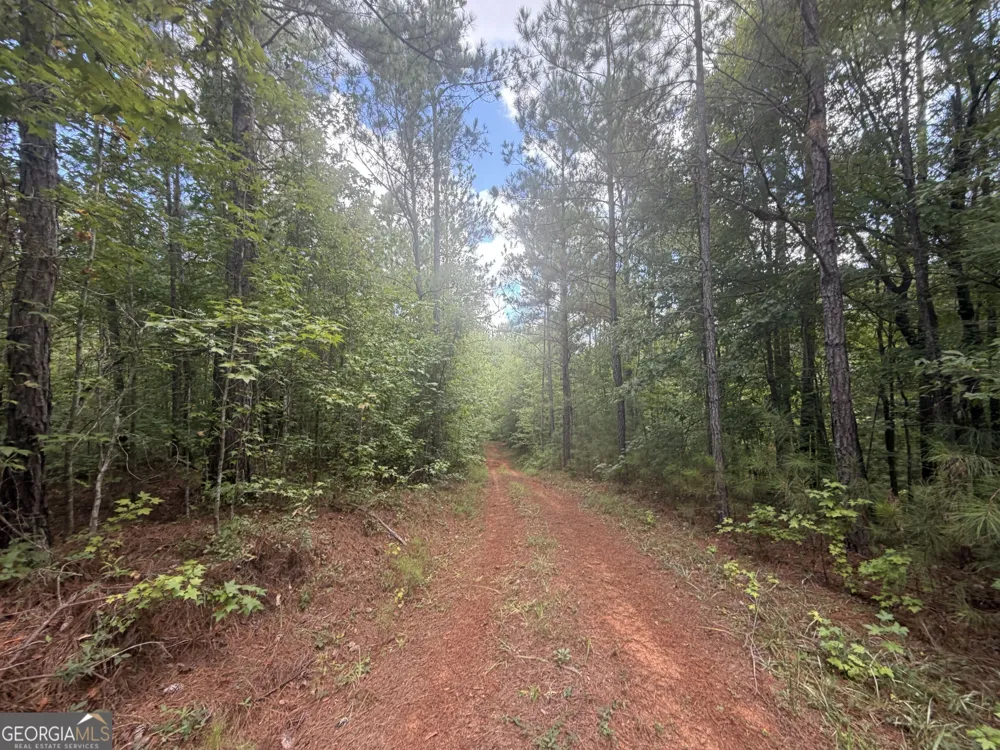 490 Sparta HWY Milledgeville, GA 31061