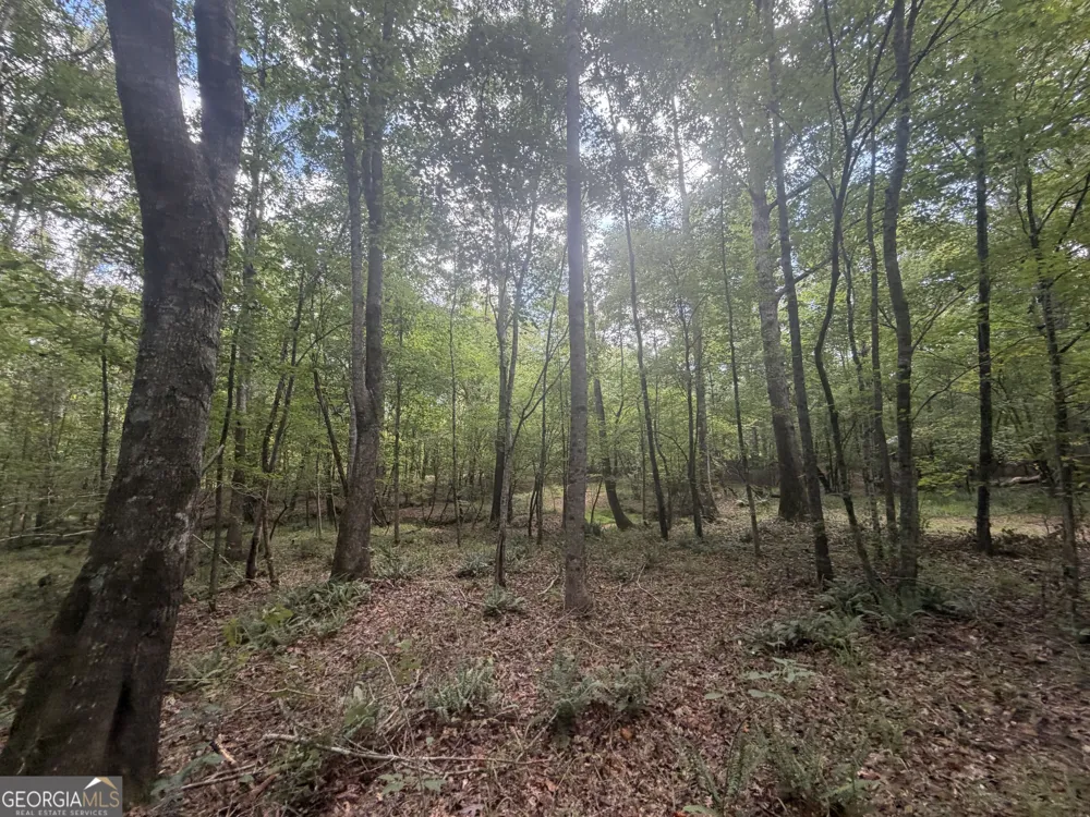 490 Sparta HWY Milledgeville, GA 31061