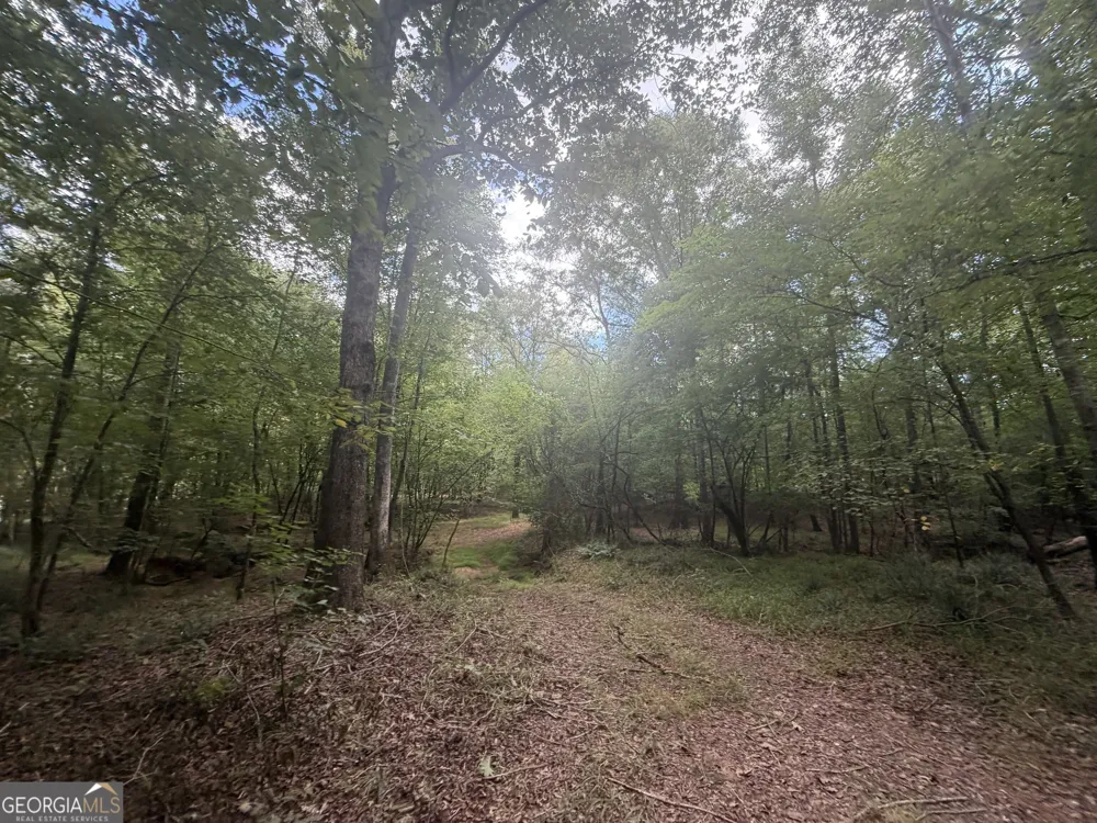 490 Sparta HWY Milledgeville, GA 31061