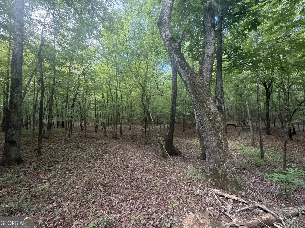 490 Sparta HWY Milledgeville, GA 31061