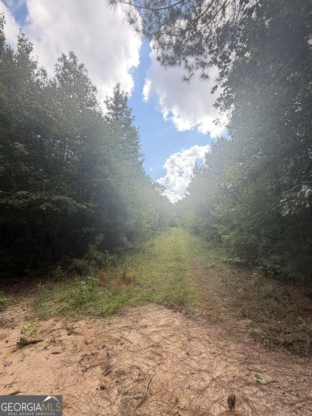 490 Sparta HWY Milledgeville, GA 31061