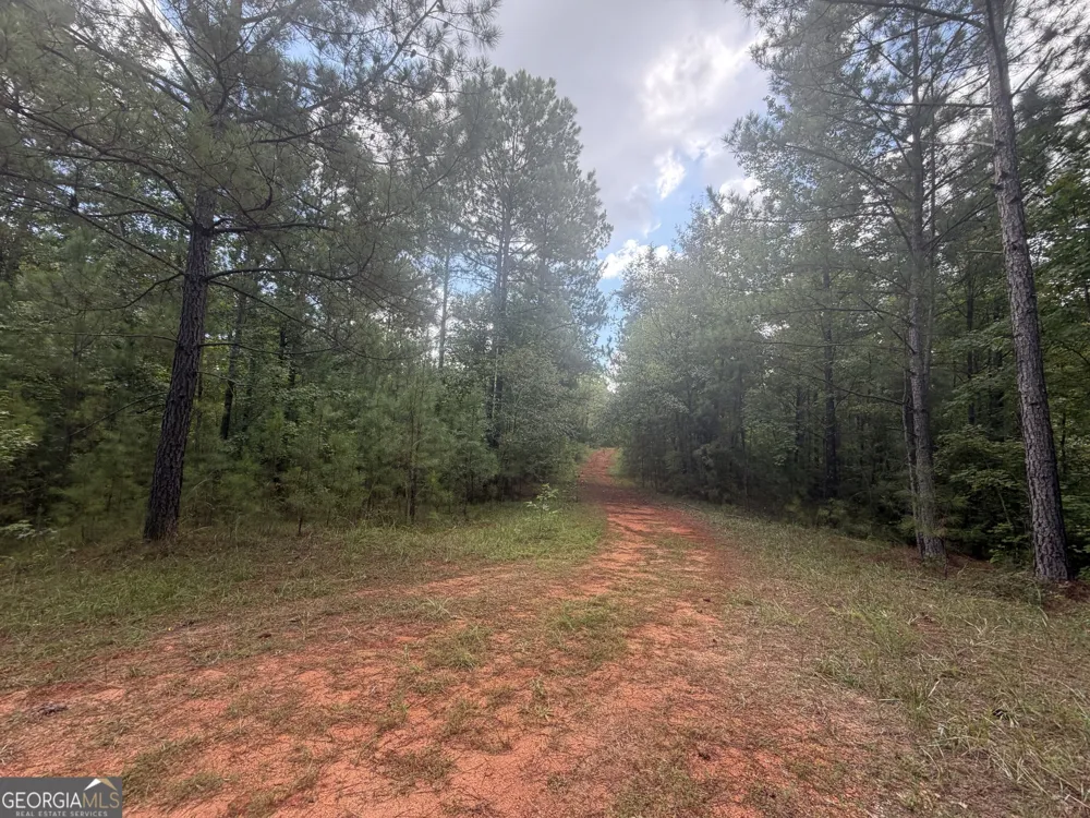 490 Sparta HWY Milledgeville, GA 31061