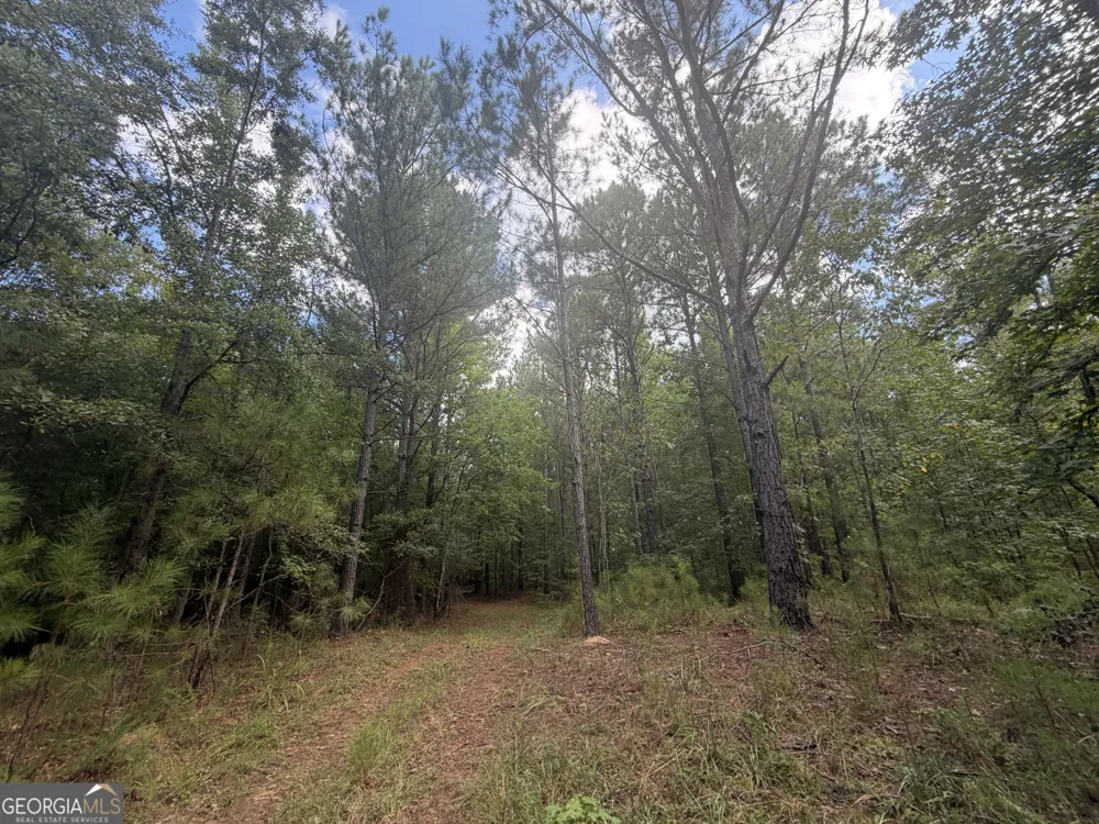 490 Sparta HWY Milledgeville, GA 31061