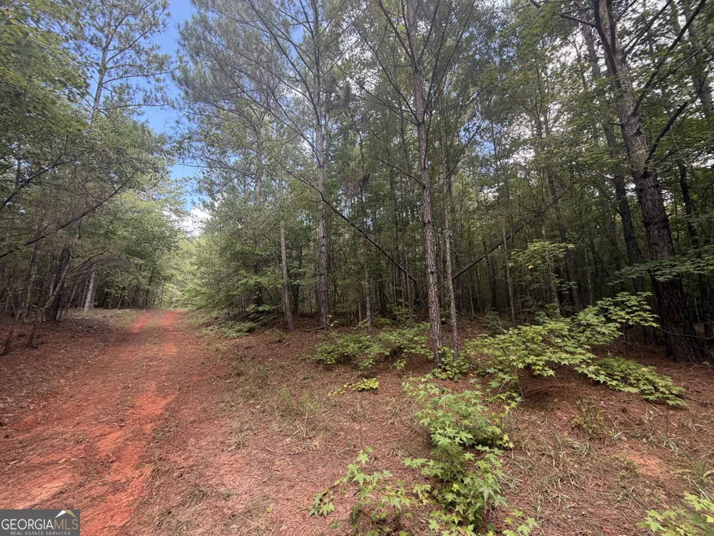 490 Sparta HWY Milledgeville, GA 31061