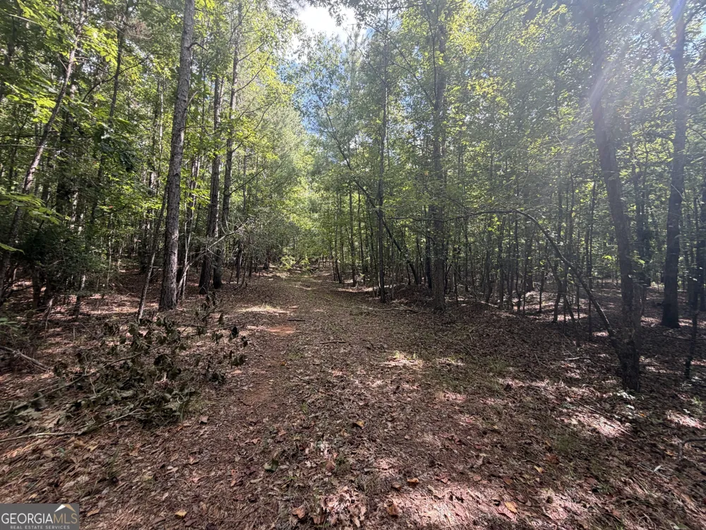490 Sparta HWY Milledgeville, GA 31061
