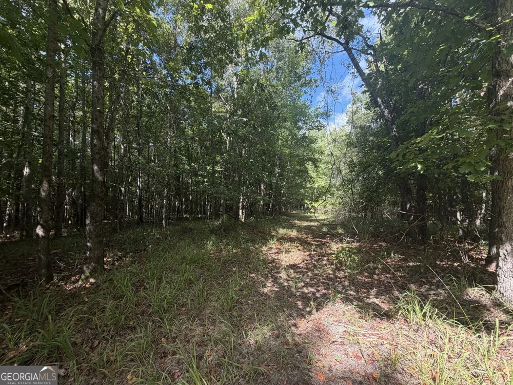 490 Sparta HWY Milledgeville, GA 31061