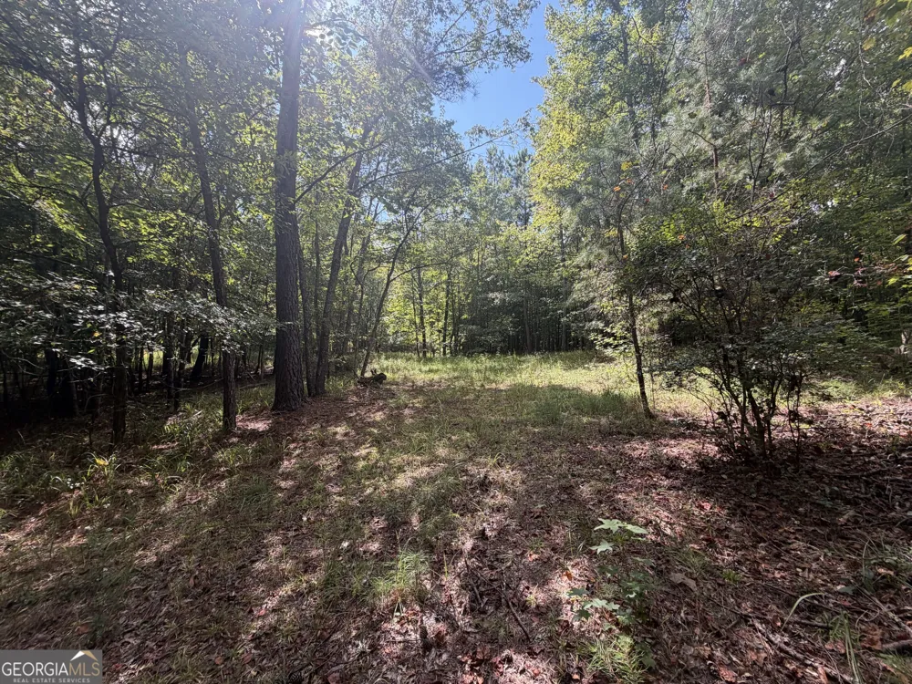 490 Sparta HWY Milledgeville, GA 31061