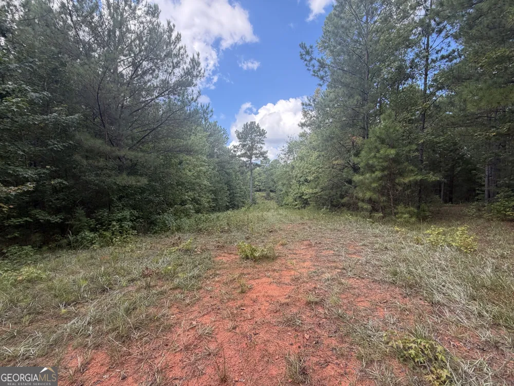 490 Sparta HWY Milledgeville, GA 31061