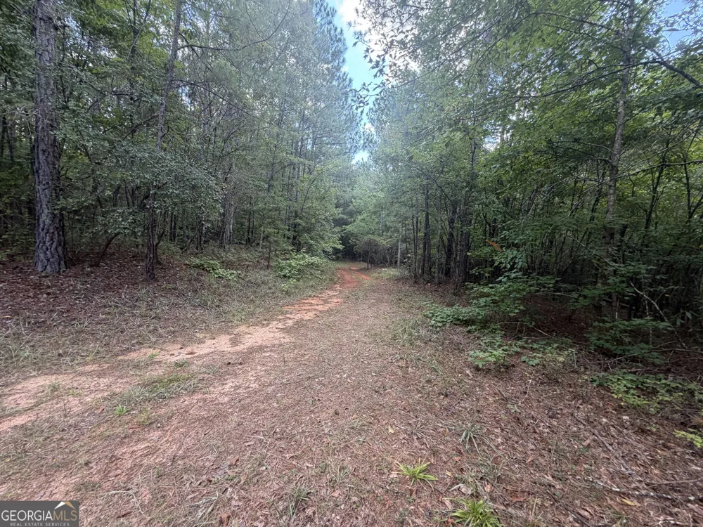 490 Sparta HWY Milledgeville, GA 31061