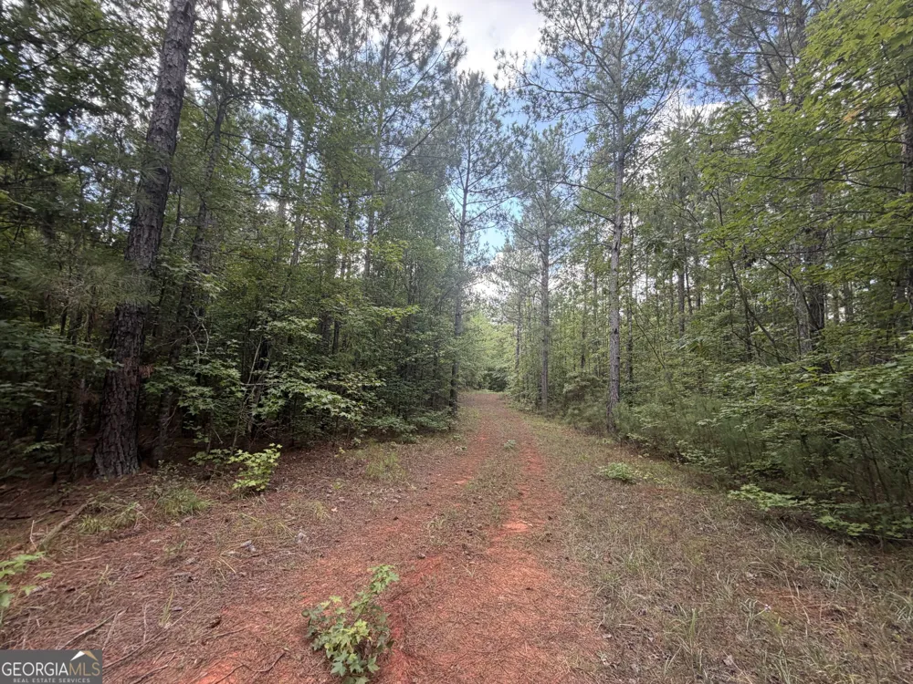 490 Sparta HWY Milledgeville, GA 31061