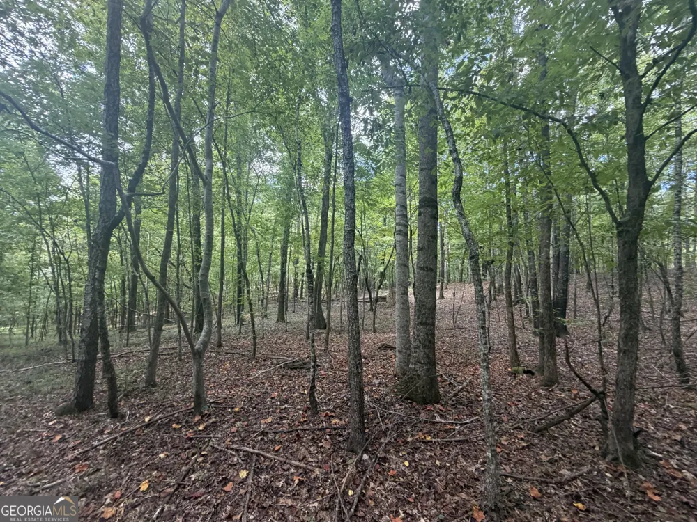 490 Sparta HWY Milledgeville, GA 31061