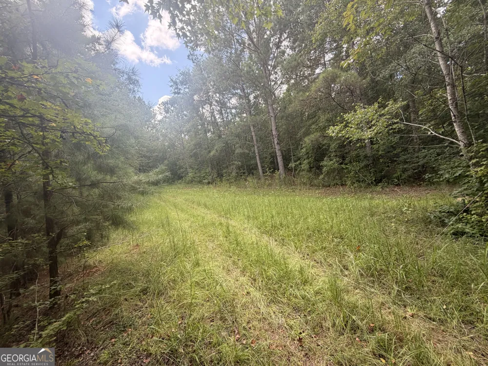 490 Sparta HWY Milledgeville, GA 31061