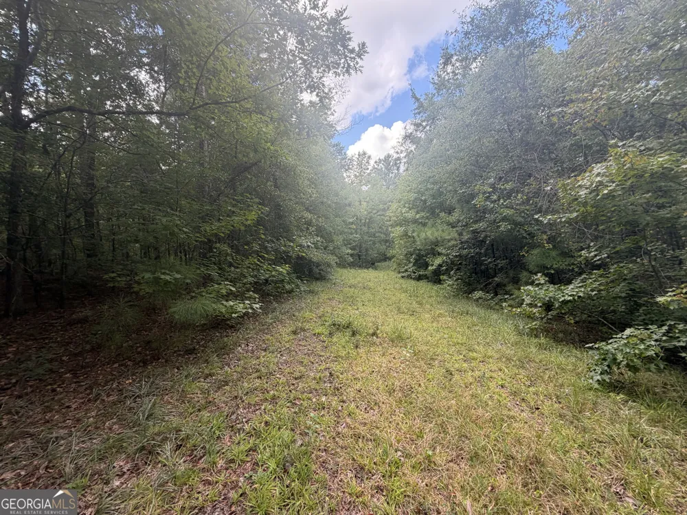 490 Sparta HWY Milledgeville, GA 31061