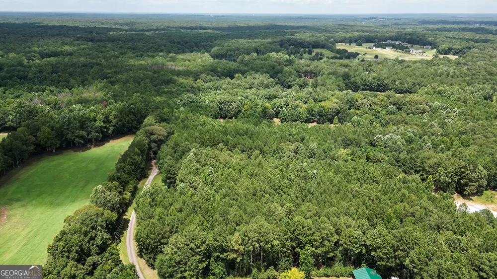 710 Line Creek RD Senoia, GA 30276