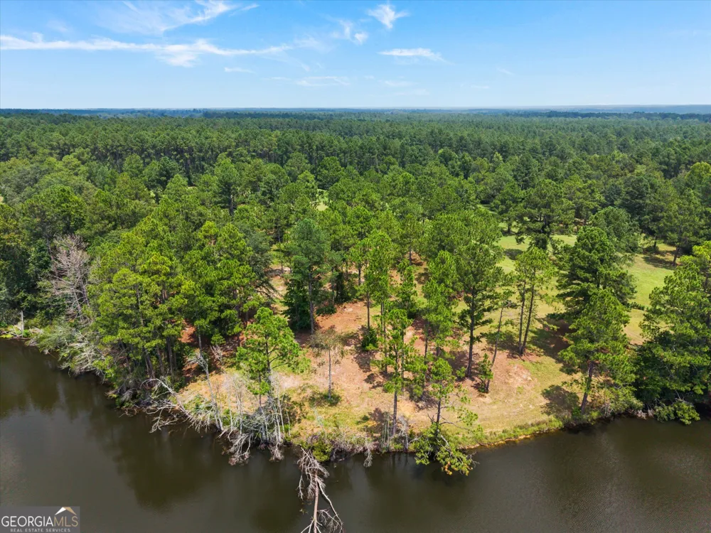 2224 Chainey Briar Rd Metter, GA 30439