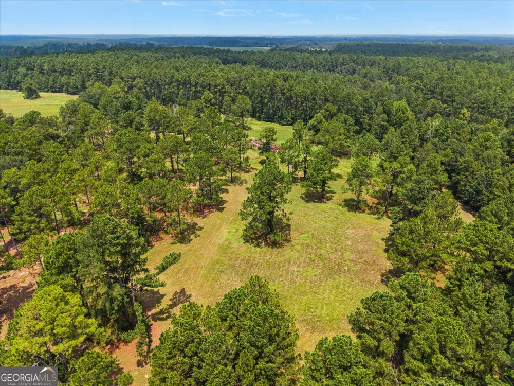 2224 Chainey Briar Rd Metter, GA 30439