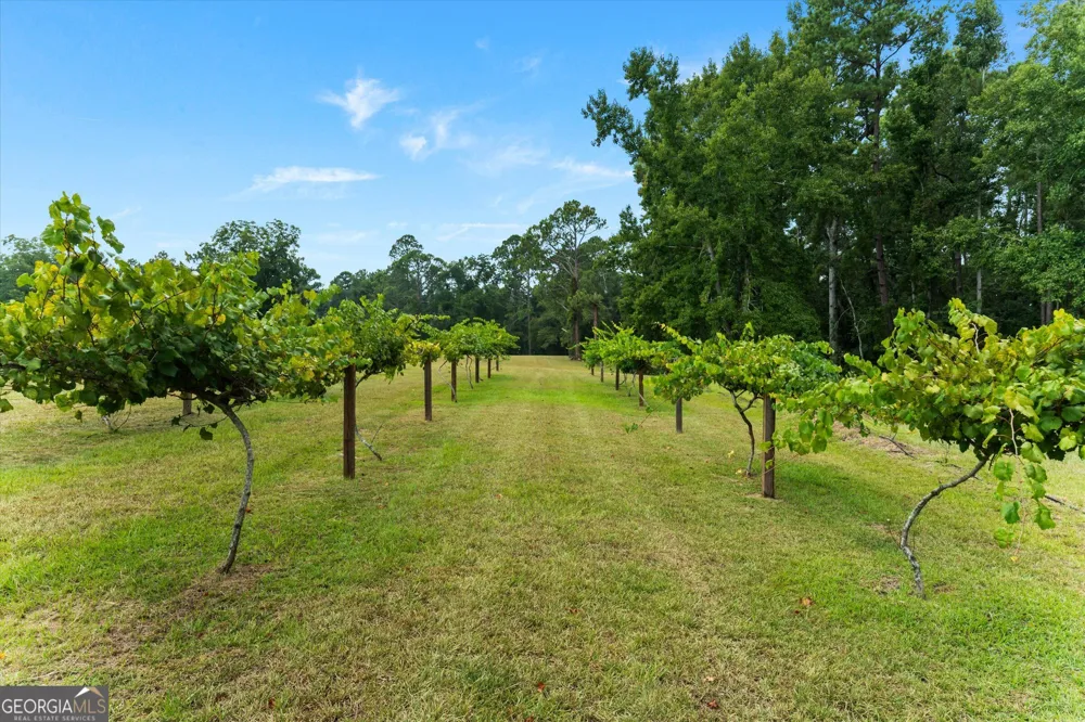 2224 Chainey Briar Rd Metter, GA 30439