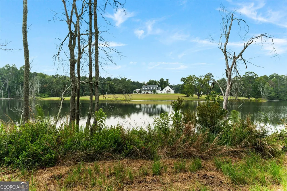 2224 Chainey Briar Rd Metter, GA 30439