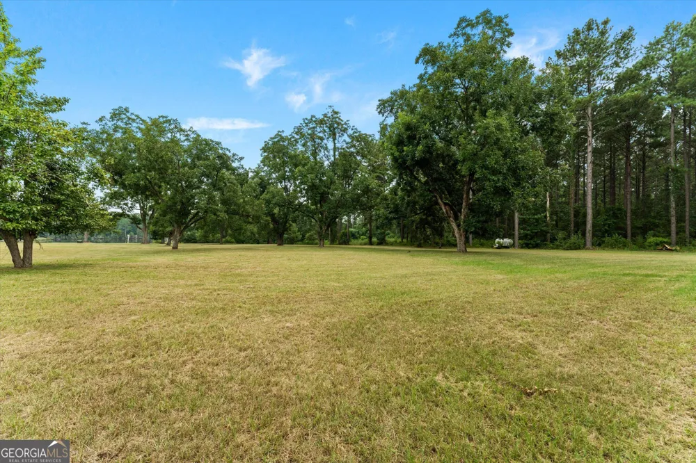 2224 Chainey Briar Rd Metter, GA 30439
