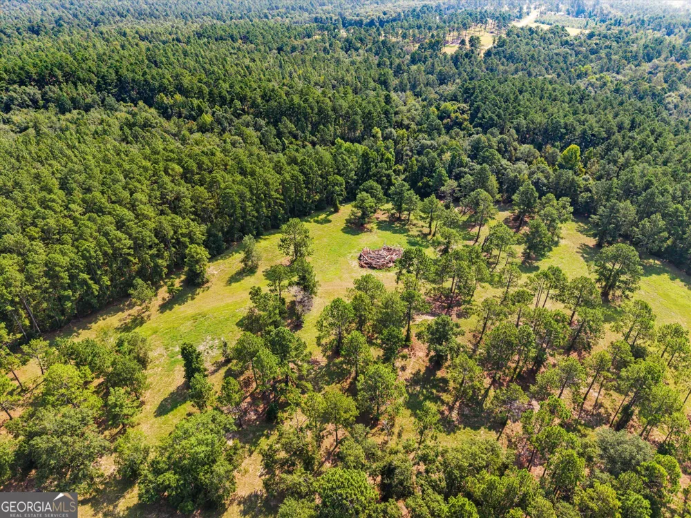 2224 Chainey Briar Rd Metter, GA 30439