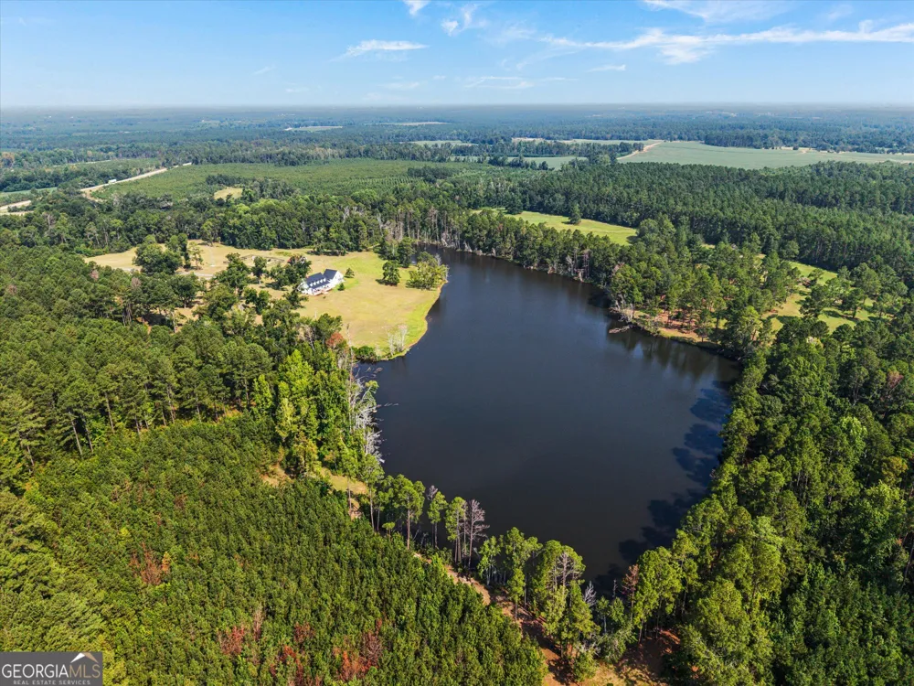 2224 Chainey Briar Rd Metter, GA 30439