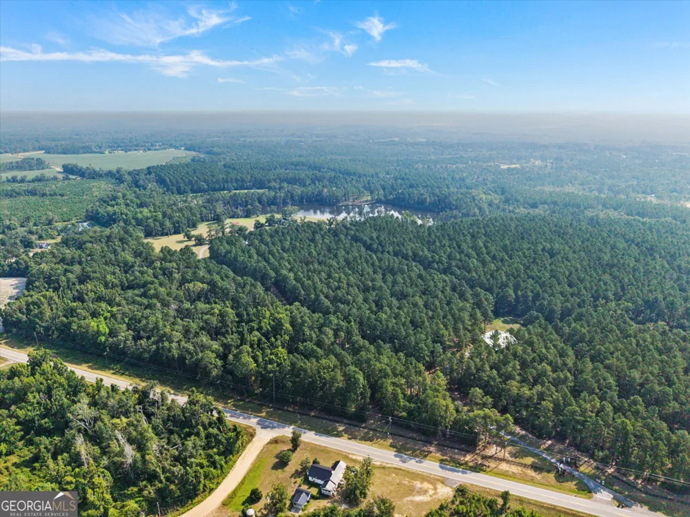 2224 Chainey Briar Rd Metter, GA 30439