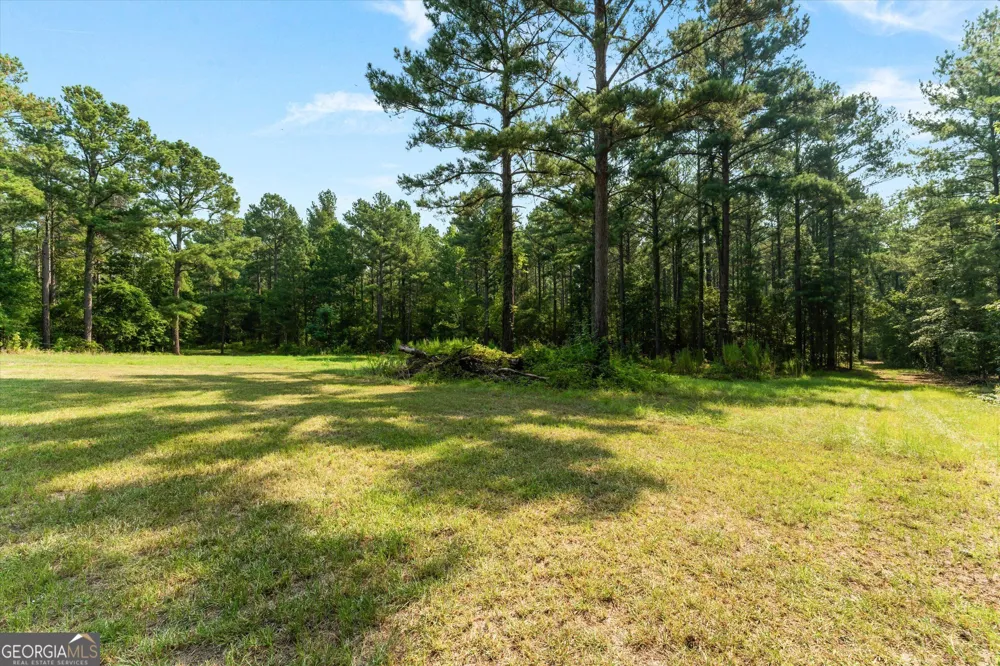 2224 Chainey Briar Rd Metter, GA 30439