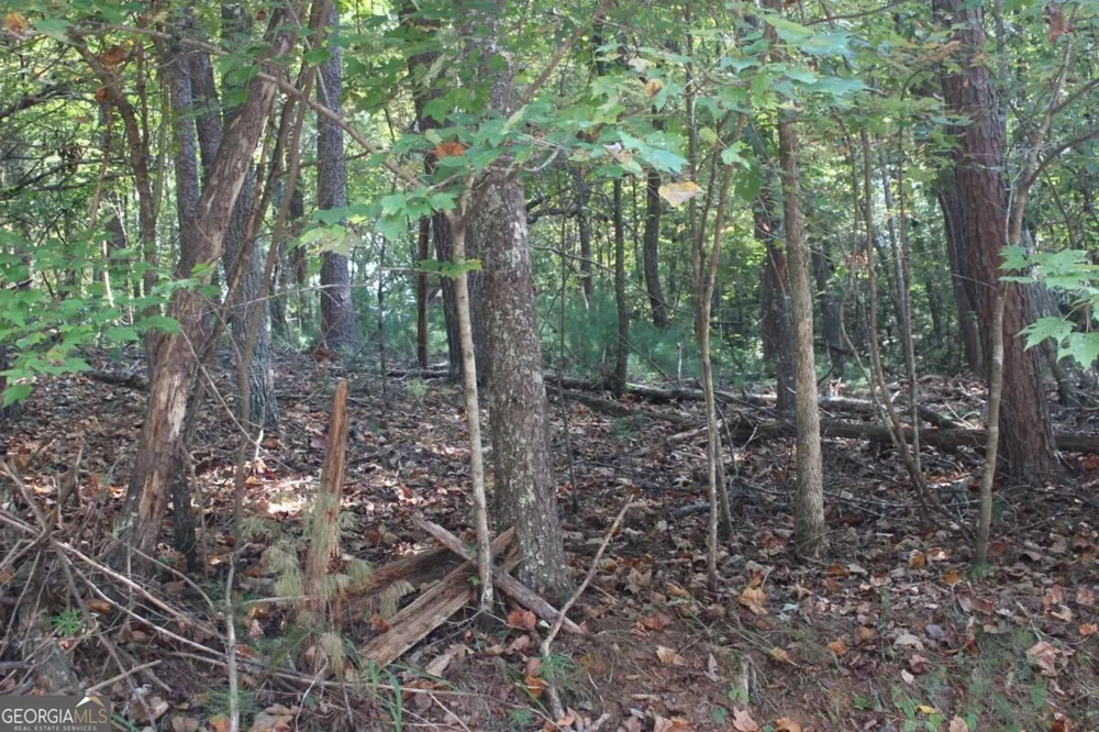 LOT 546 Satsuma North CT Ellijay, GA 30540