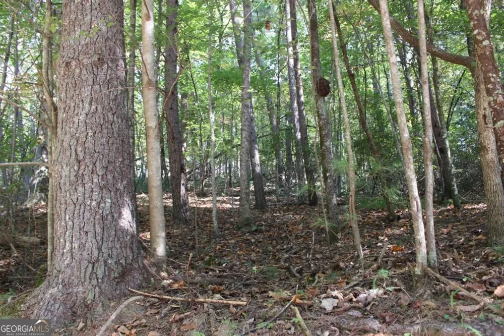 LOT 546 Satsuma North CT Ellijay, GA 30540