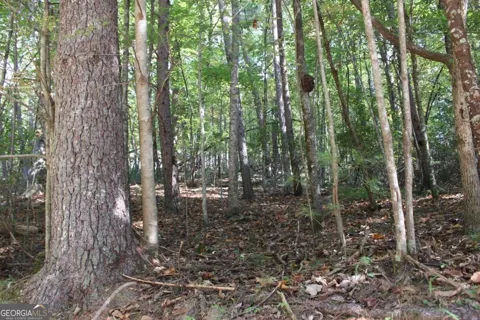 LOT 546 Satsuma North CT
