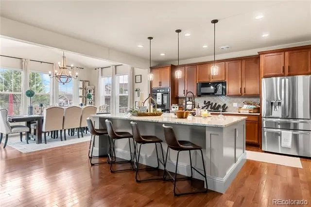 3068 Cool Meadow Place Castle Rock, CO 80104